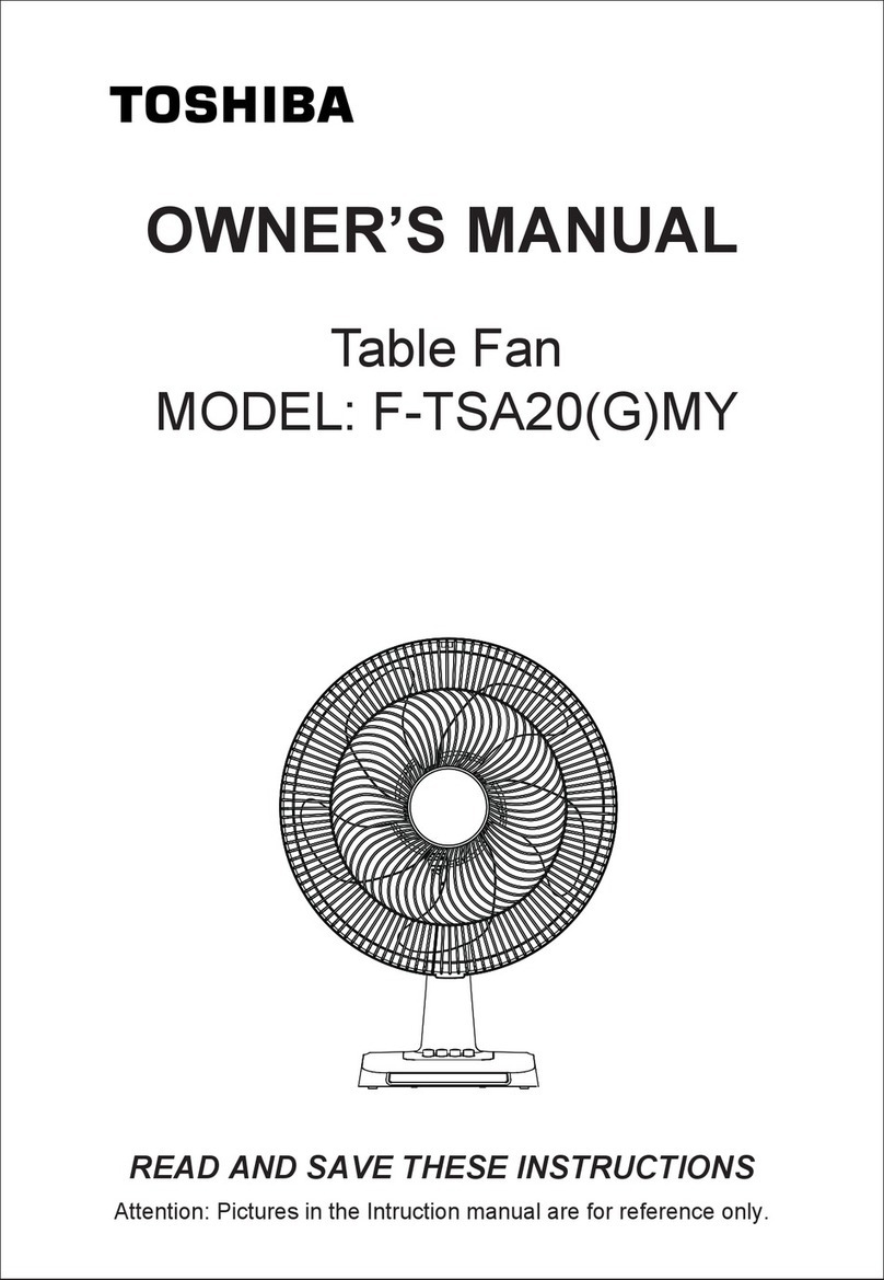 Toshiba F-TSA20(G)MY owner's manual