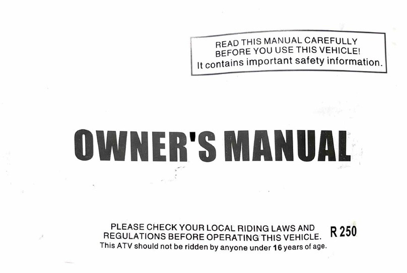 Tao Motor R250 owner's manual