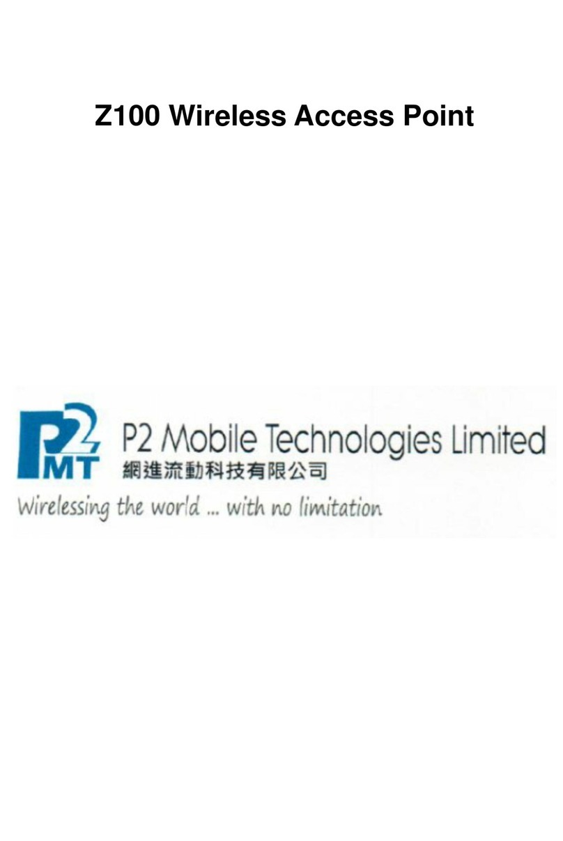 P2 MOBILE TECHNOLOGIES LIMITED Z100 manual P2 MOBILE TECHNOLOGIES LIMITED Z100 manual