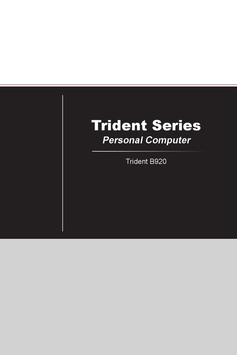 MSI Trident B920 User manual