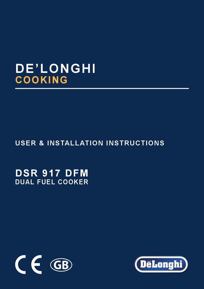 DeLonghi DSR 917 DFM User & installation instructions