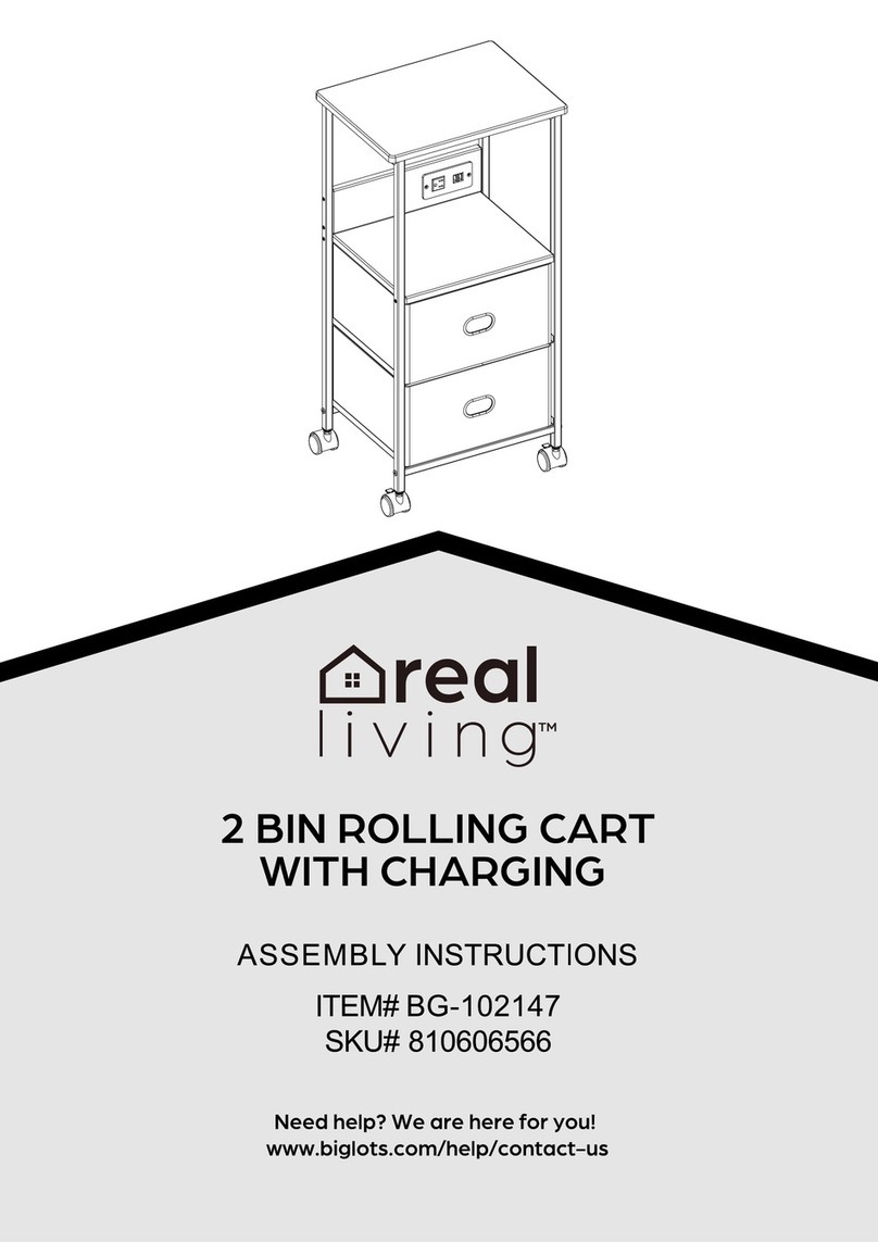 real living BG-102147 Assembly instructions