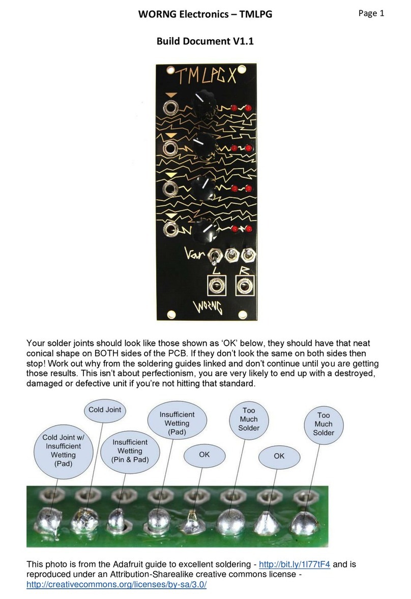 WORNG Electronics TMLPG Build Document