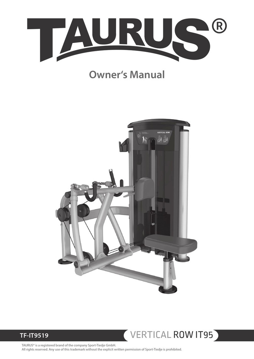 Taurus TF-IT9519 owner's manual