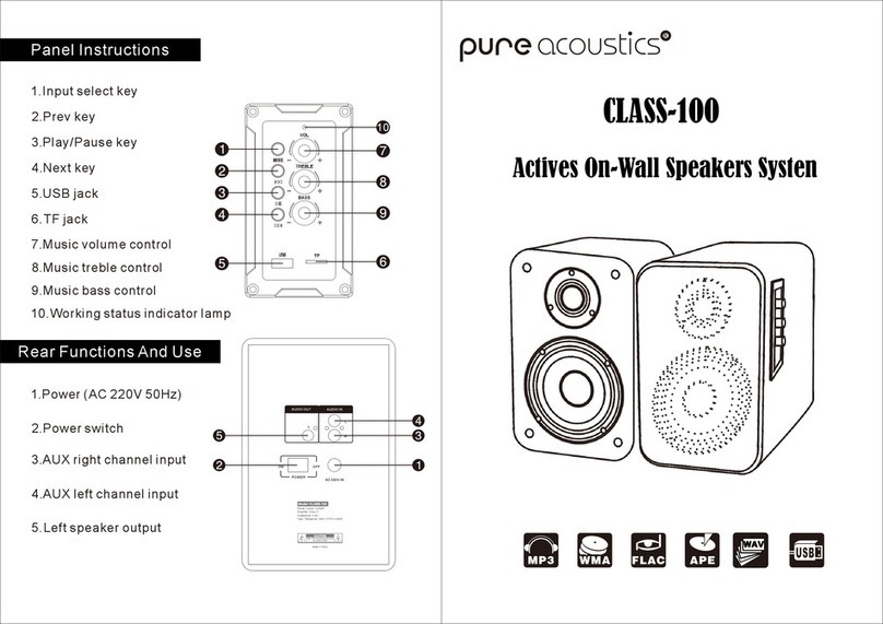 Pure Acoustics CLASS-100 manual