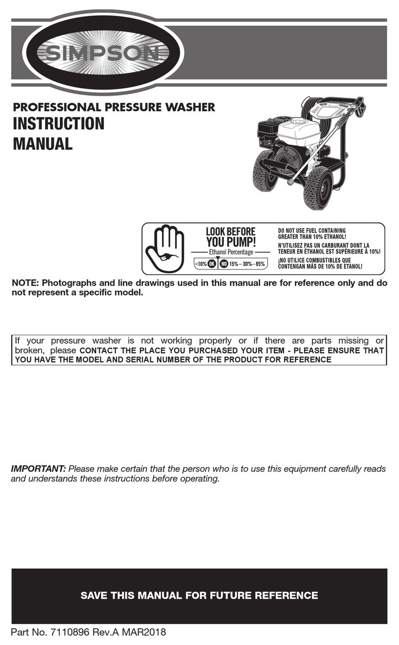 Simpson PRO3800PW User manual