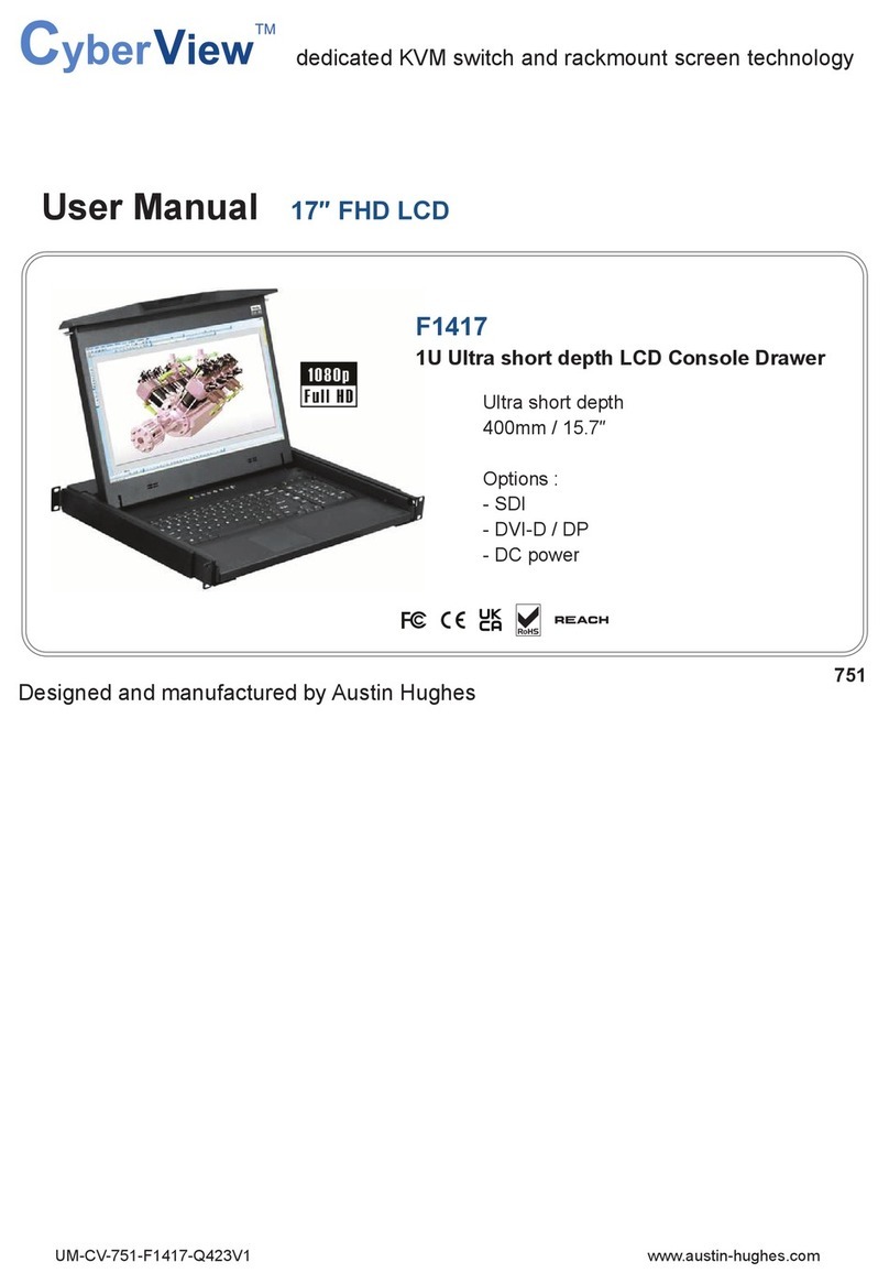 Austin Hughes CyberView F1417 User manual
