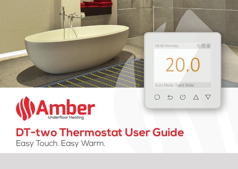 Amber DT-two user guide