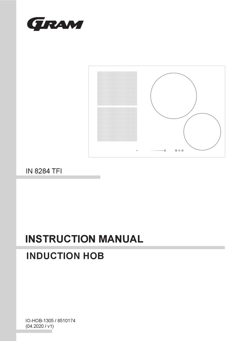 Gram IN 8284 TFI User manual