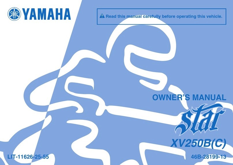 Yamaha Star XV250B 2011 owner's manual