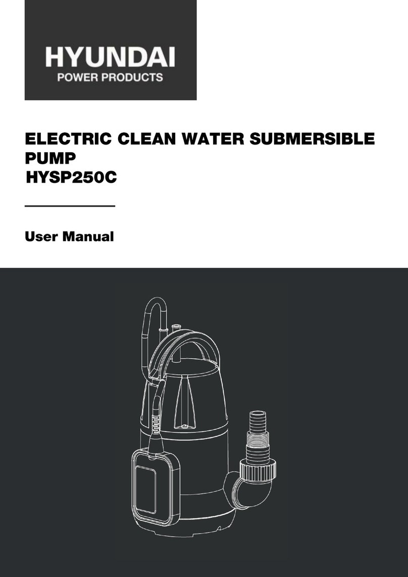 Hyundai HYSP250C user manual Hyundai HYSP250C user manual