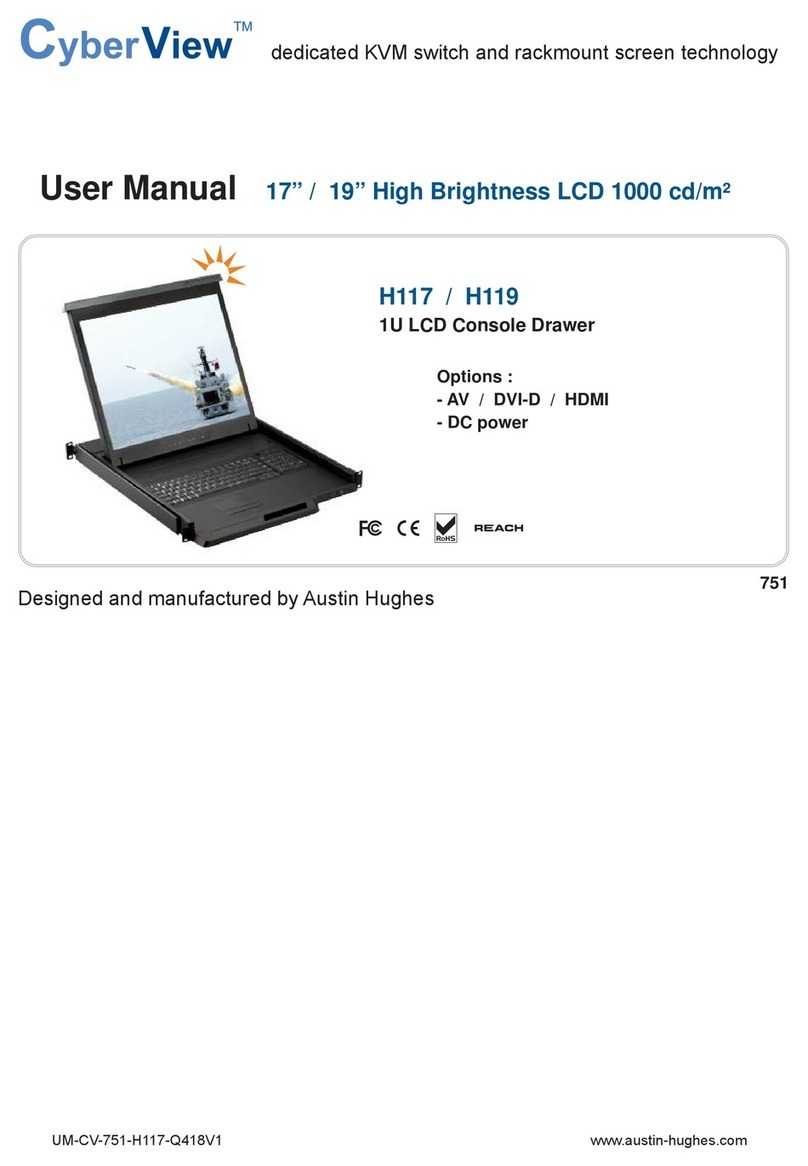 Austin Hughes CyberView H117 user manual