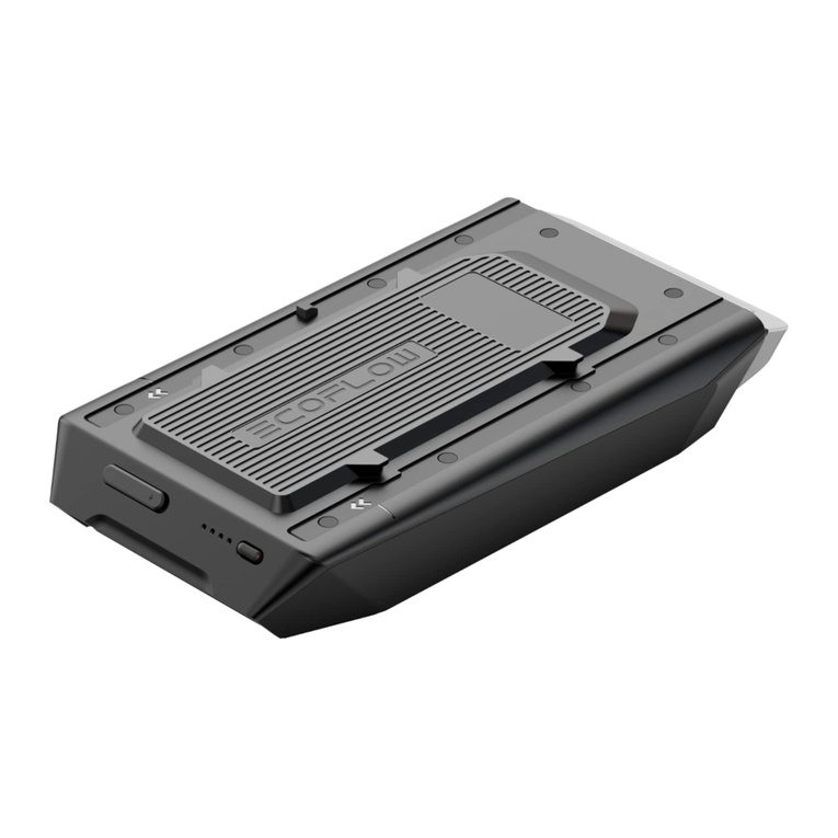 EcoFlow Wave 2 User manual