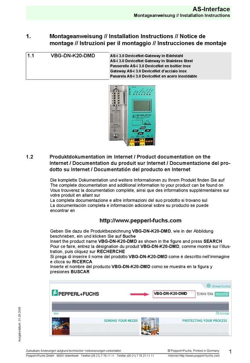 Pepperl+Fuchs VBG-DN-K20-DMD User manual