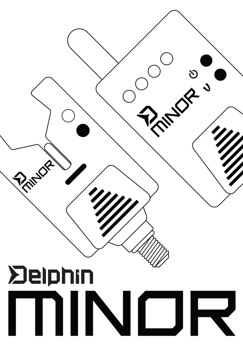 Delphin Minor user guide