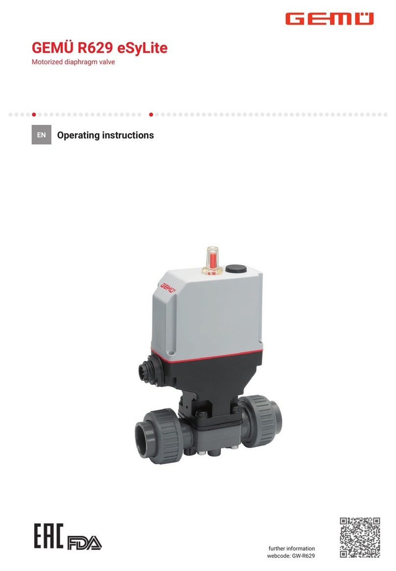 GEM eSyLite R629 User manual