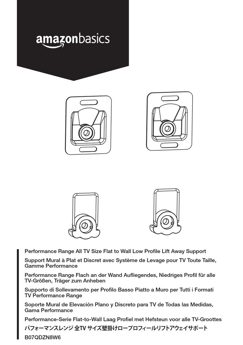 AmazonBasics Performance B07QDZN8W6 User manual