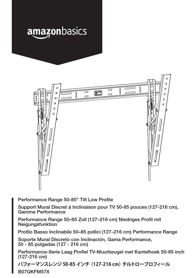 AmazonBasics Performance B07QKFM57X User manual
