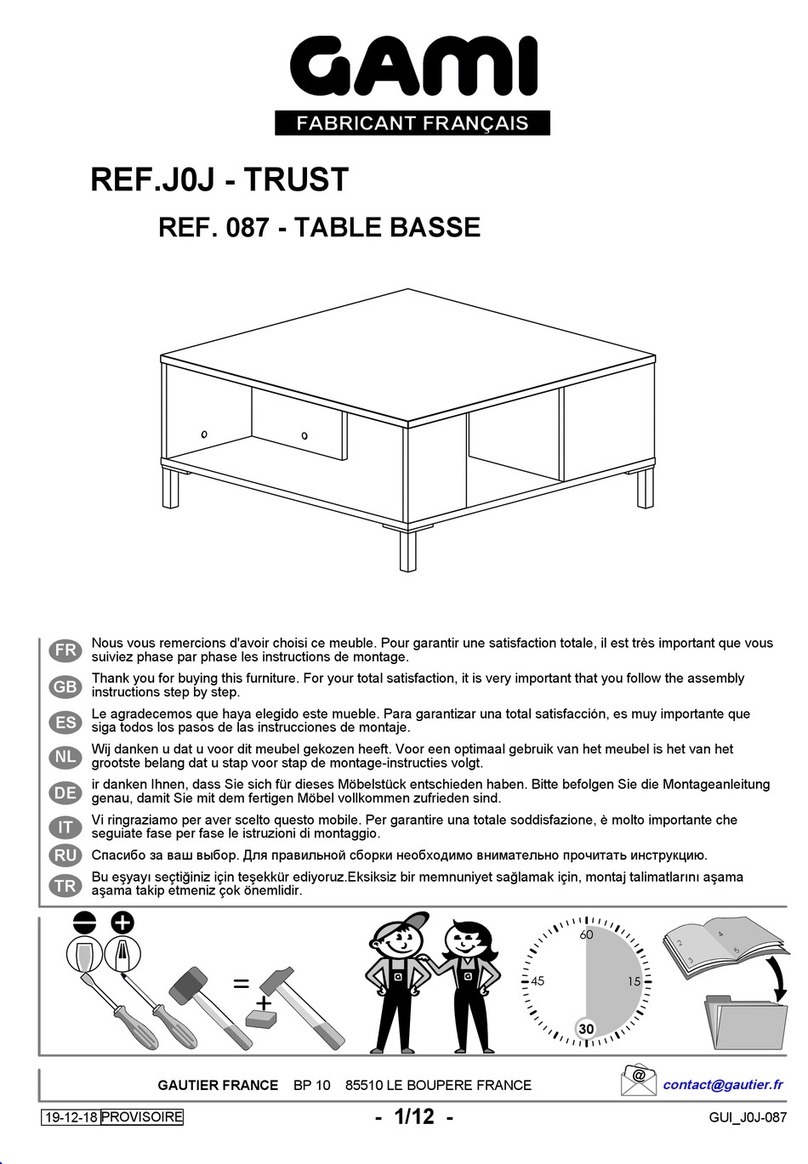 Gami TRUST J0J User manual