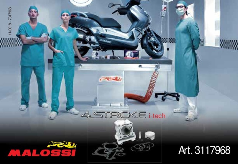 Malossi 3117968 manual