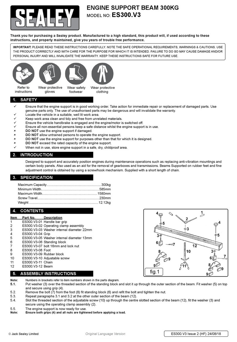 Sealey ES300.V3 User manual