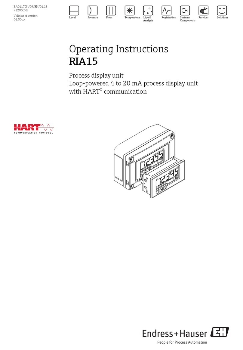 Endress+Hauser RIA15 User manual