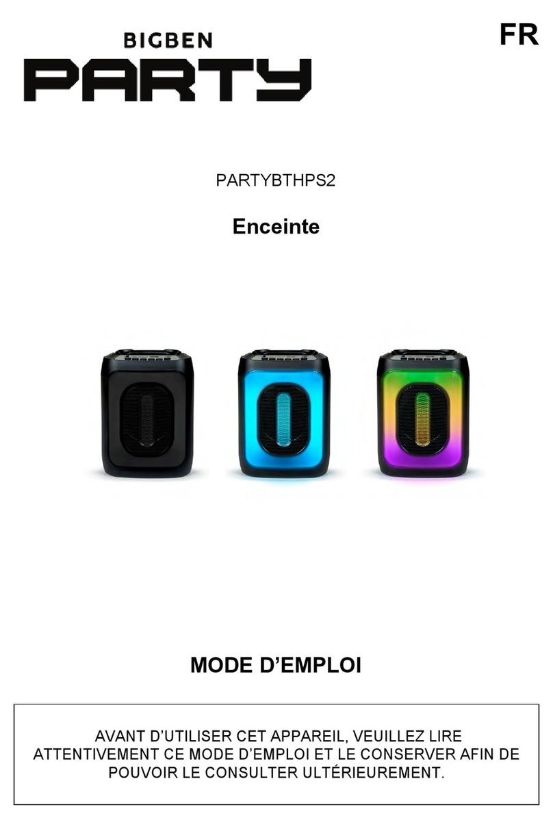 Bigben PARTY PARTYBTHPS2 User instructions