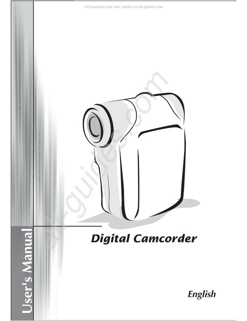 AIPTEK DV T100 LE User manual