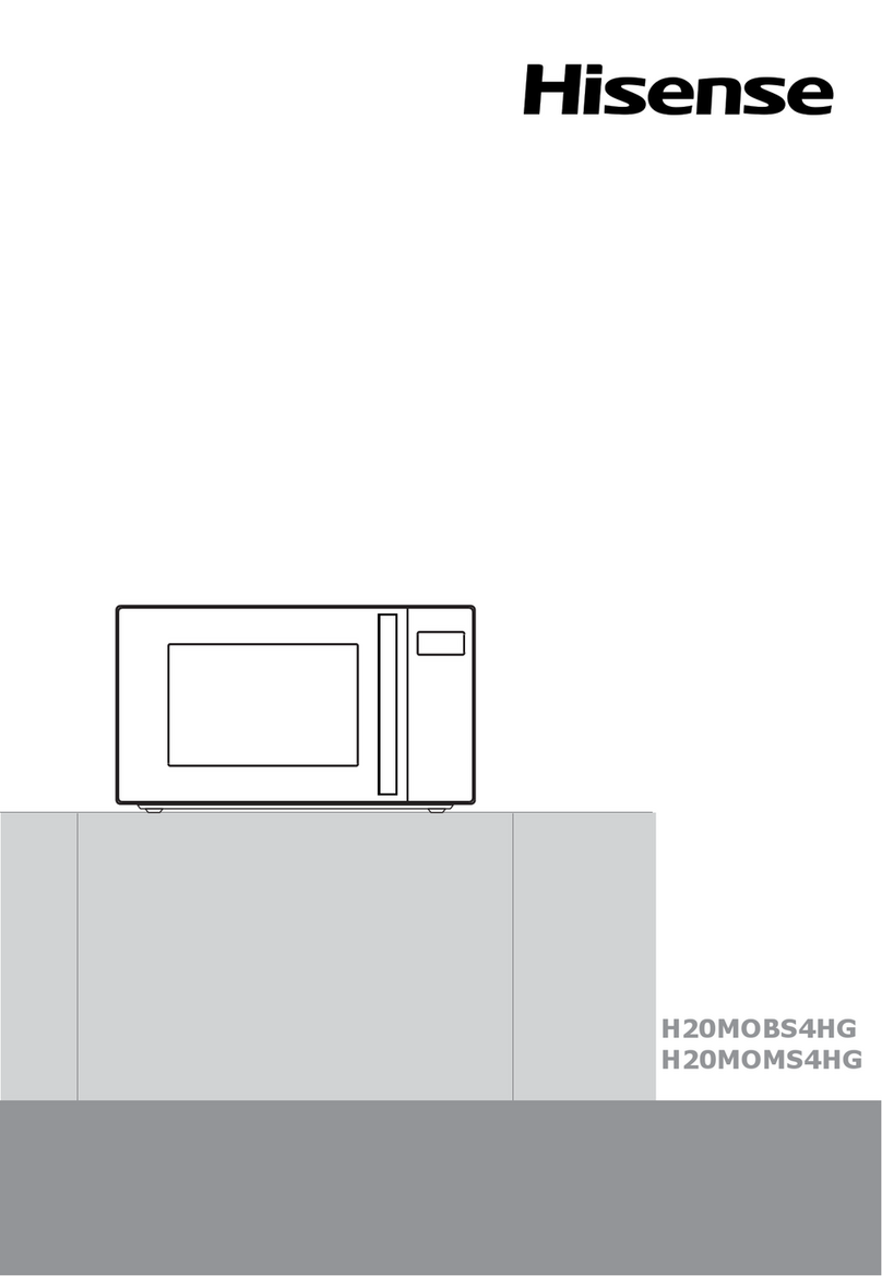 Hisense H20MOBS4HG User manual