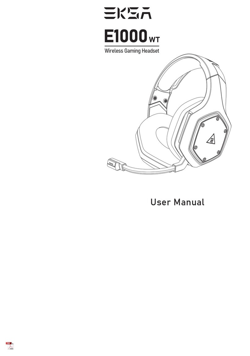 EKSA E1000WT User manual