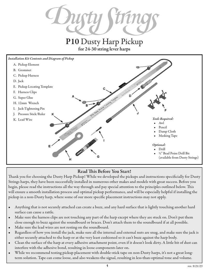 Dusty Strings P10 instruction manual