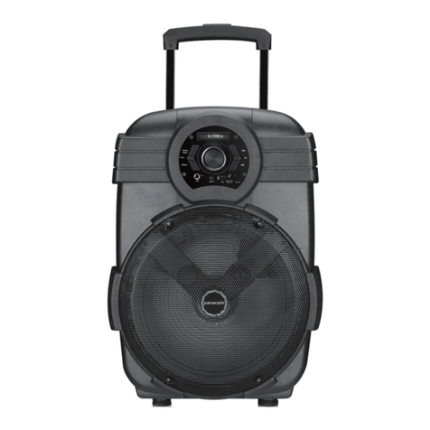 Panacom STAGE SOUND S113 User manual