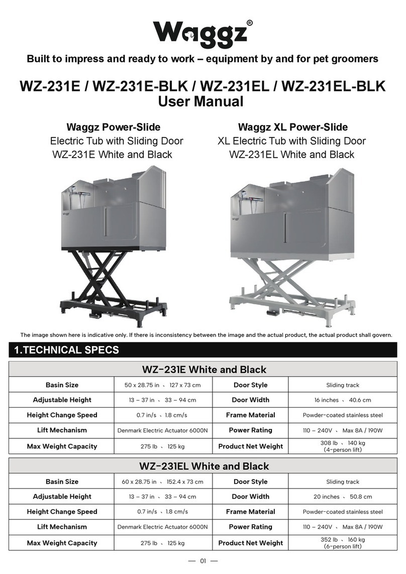 Waggz WZ-231E instruction manual