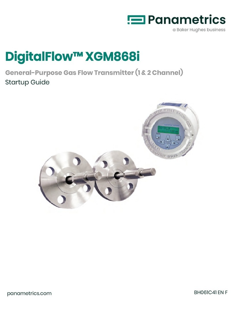 Baker Hughes Panametrics DigitalFlow XGM868i Startup guide
