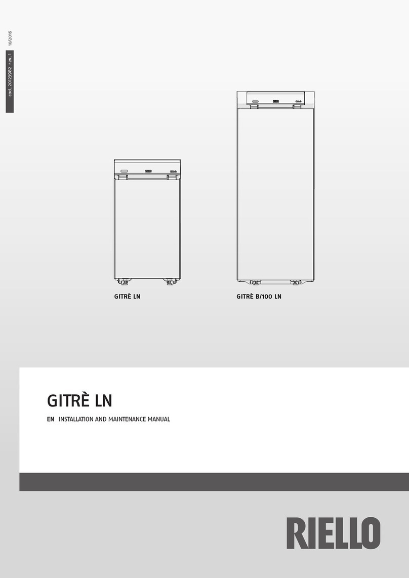 Riello GITRE B/100 LN Manual