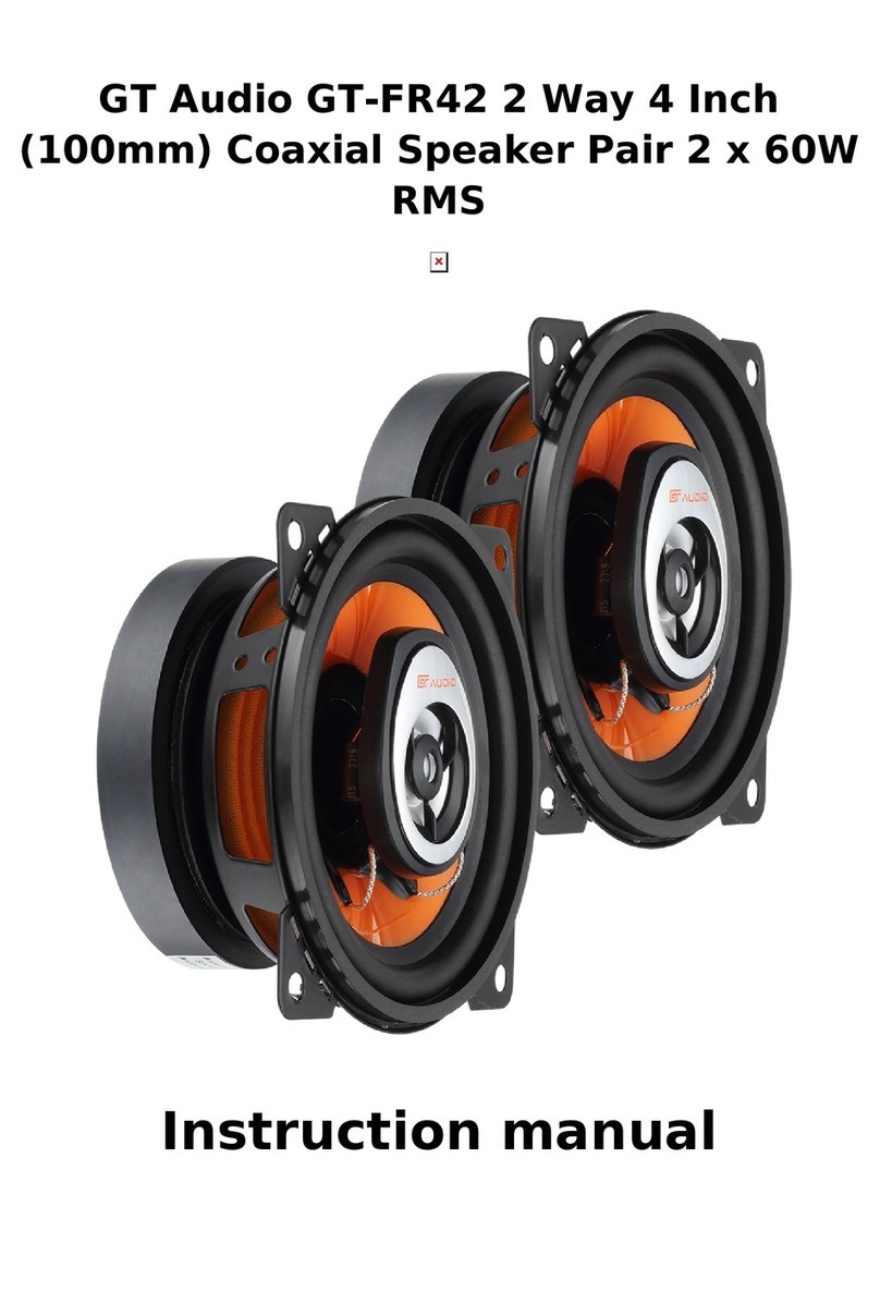 BASSFACE GT Audio GT-FR42 instruction manual