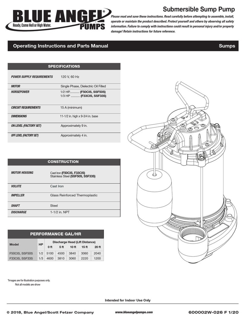 Blue Angel Pumps F50CIS Operating instructions and parts manual