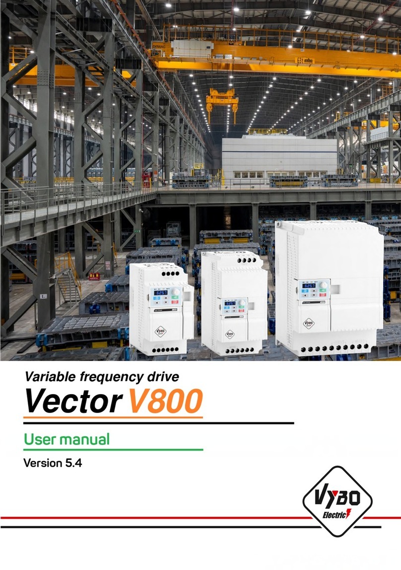 VYBO Electric Vector V800 user manual