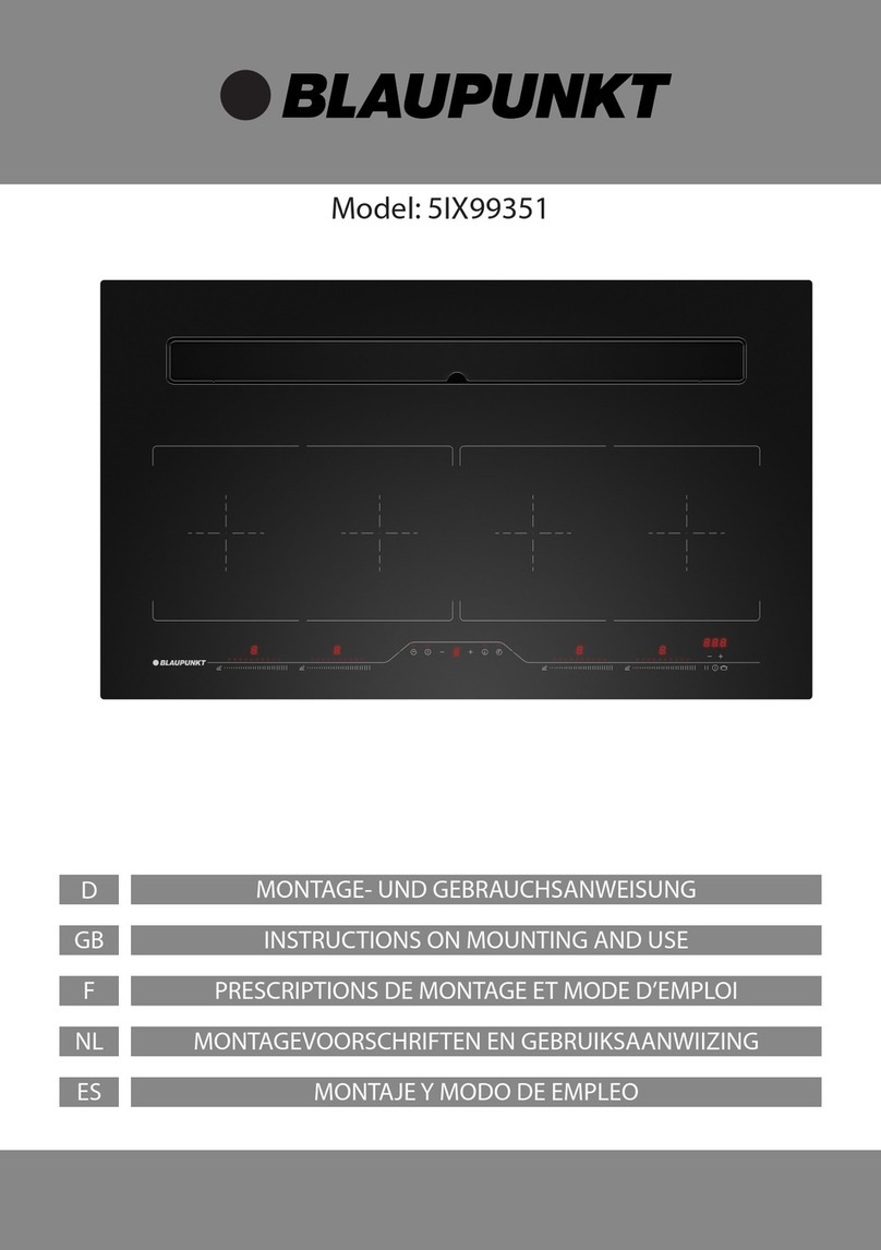 Blaupunkt 5IX99351 Instruction on mounting and use