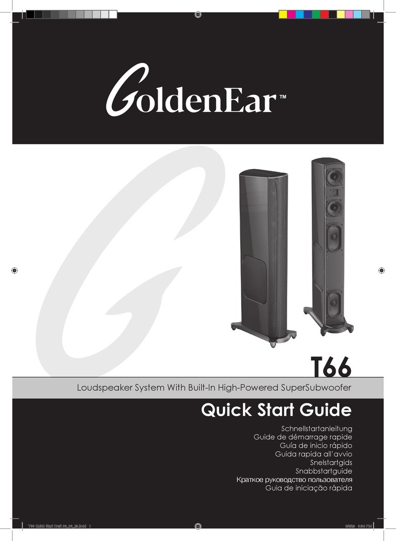GoldenEar Technology T66 User manual