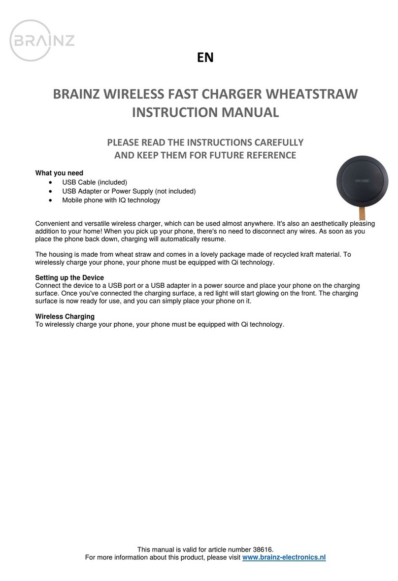 Brainz 38616 instruction manual