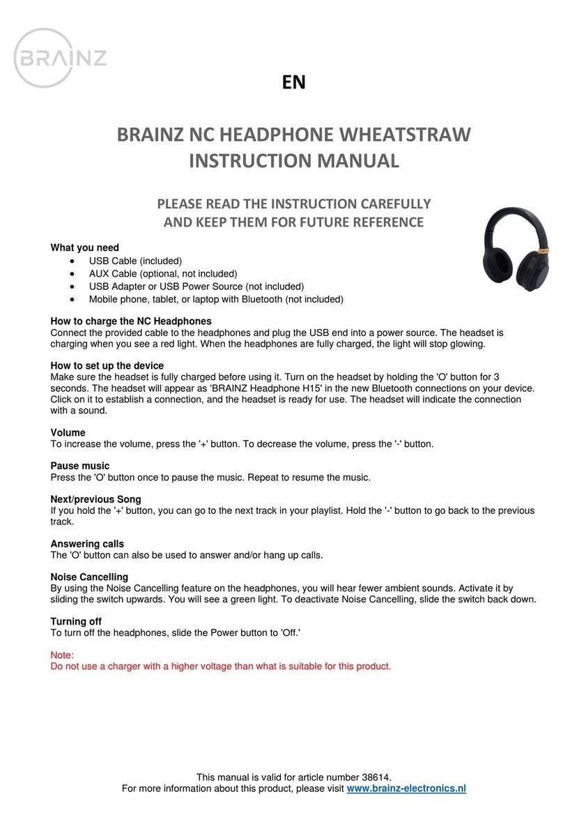 Brainz 38614 instruction manual