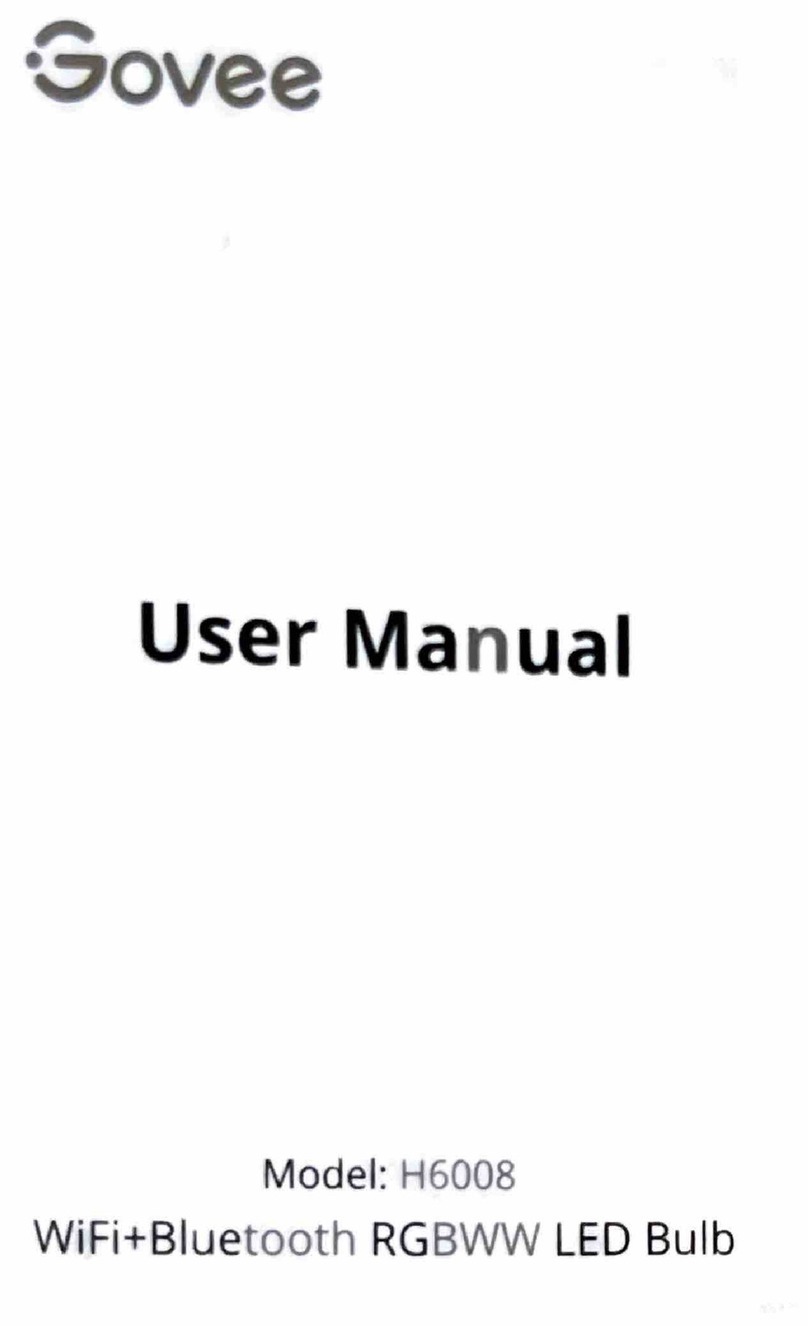 Govee H6008 User manual