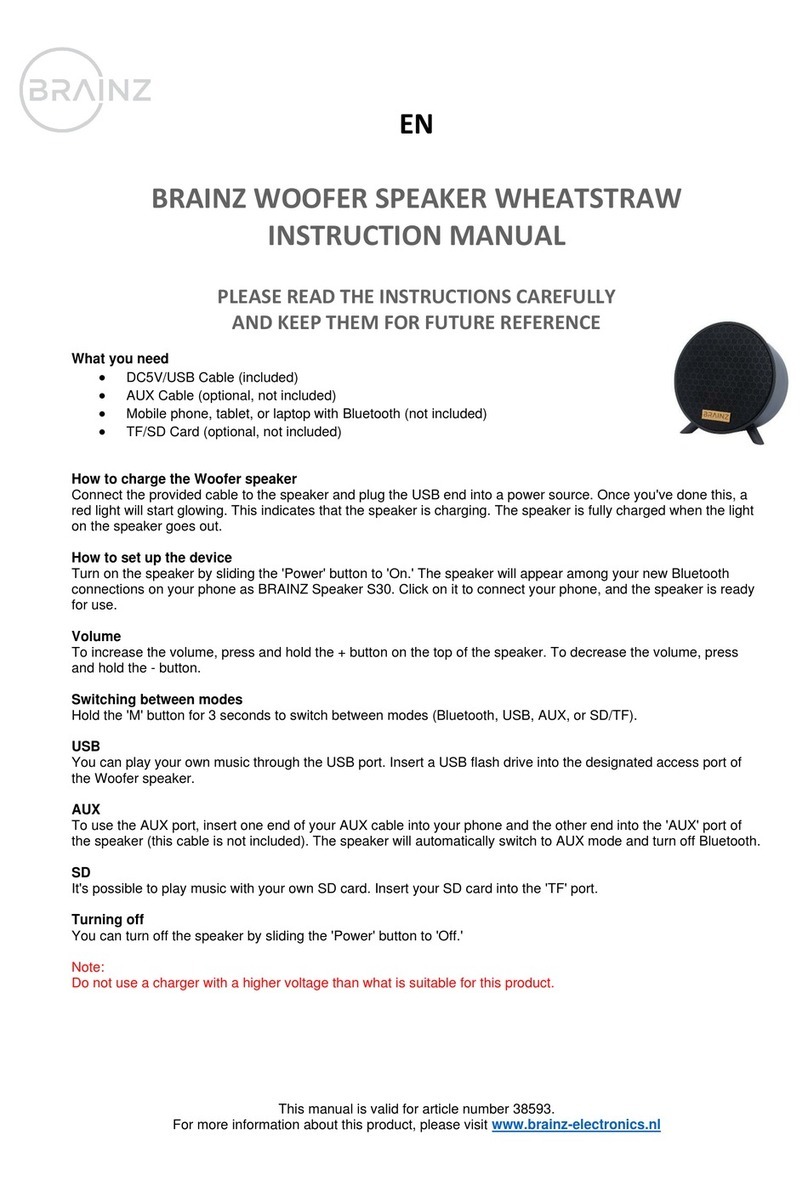 Brainz 38593 instruction manual