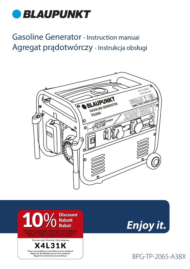 Blaupunkt BPG-TP-2065-A38X User manual