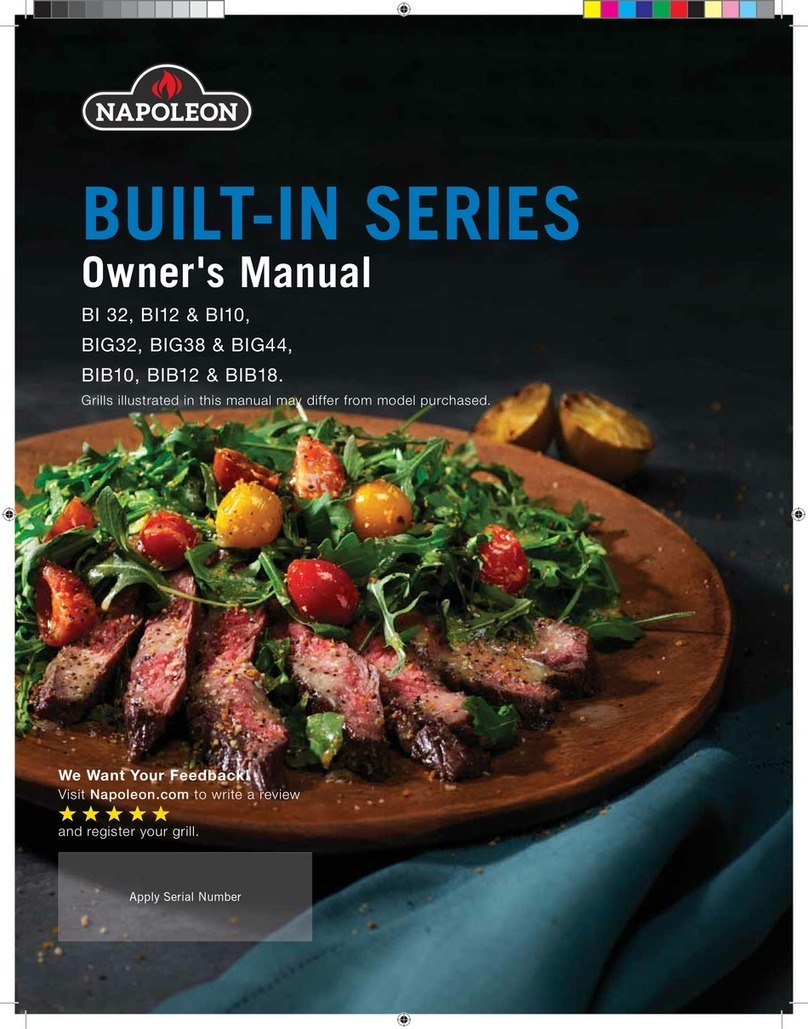 Napoleon BI10 User manual
