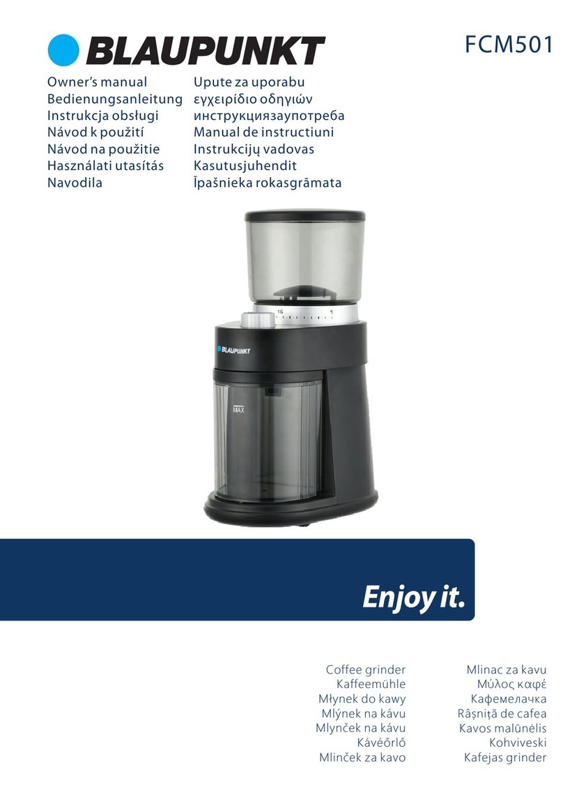 Blaupunkt FCM501 owner's manual