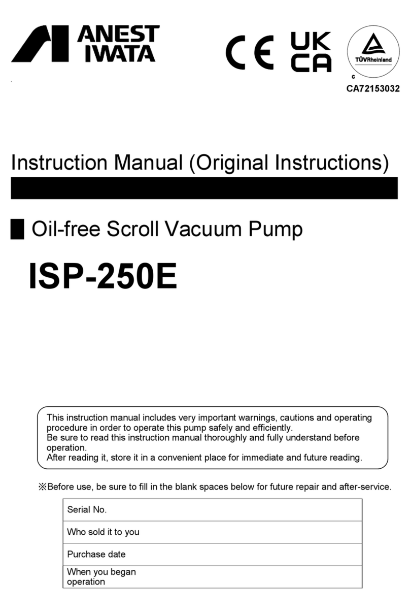 Anest Iwata ISP-250E User manual