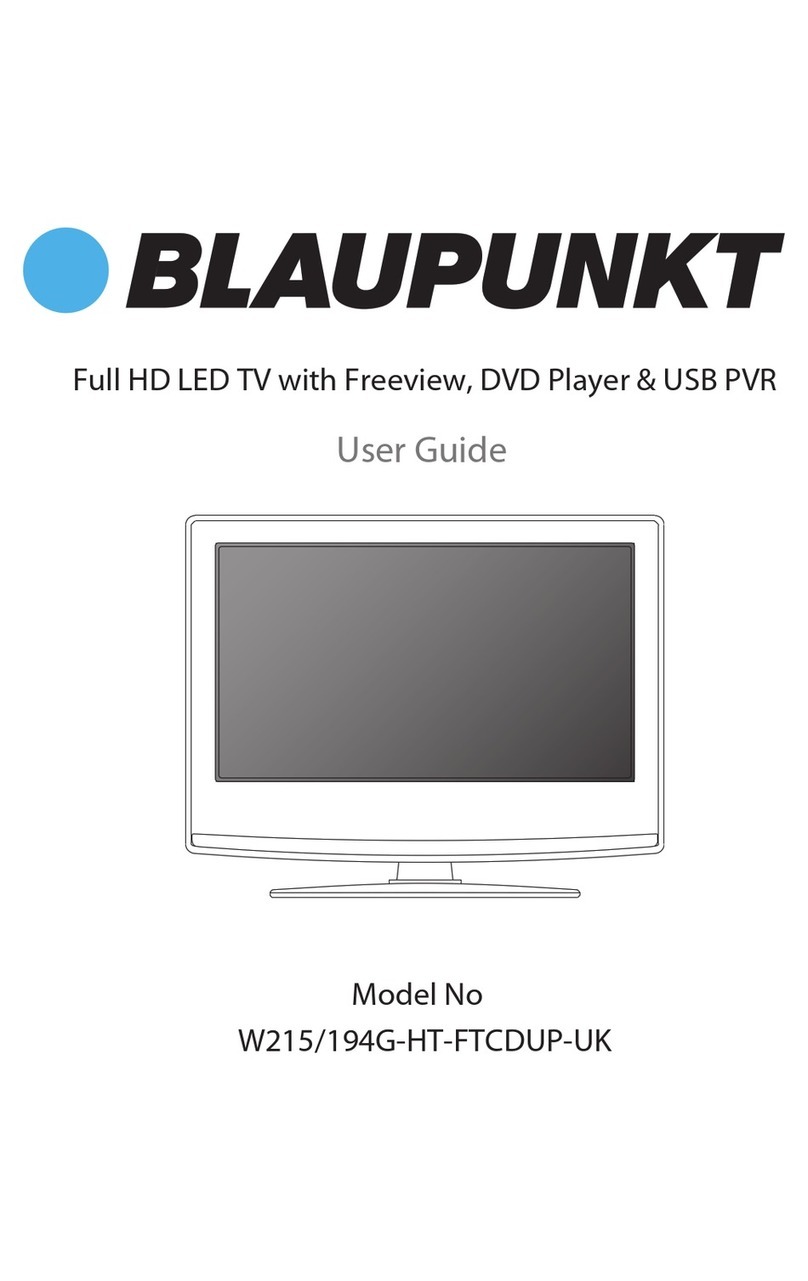 Blaupunkt W215/194G-HT-FTCDUP-UK user guide