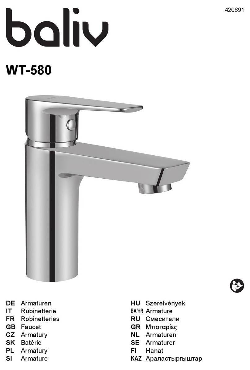 baliv WT-580 manual